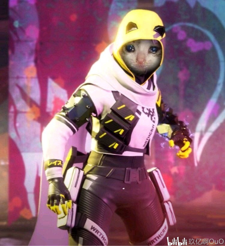 这样的决策 这样的决策